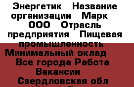 Энергетик › Название организации ­ Марк 4, ООО › Отрасль предприятия ­ Пищевая промышленность › Минимальный оклад ­ 1 - Все города Работа » Вакансии   . Свердловская обл.,Сухой Лог г.